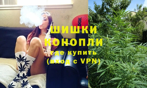 ГАЛЛЮЦИНОГЕННЫЕ ГРИБЫ Гусь-Хрустальный