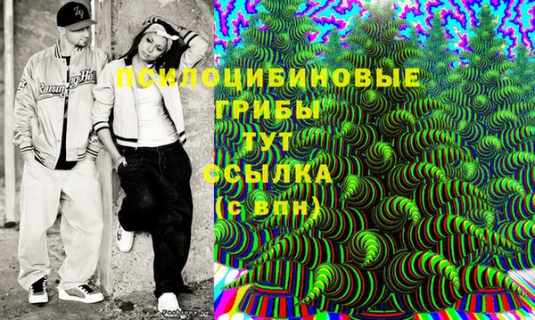 дурь Каменногорск