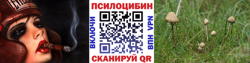ссылка на мегу вход  Крым  Псилоцибиновые грибы ЛСД 